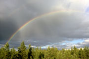 Sateenkaaret